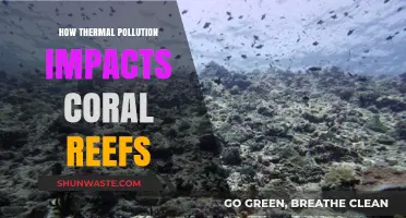 Thermal Pollution's Devastating Impact on Coral Reefs