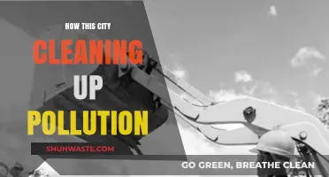 A City's Fight: Pollution Cleanup