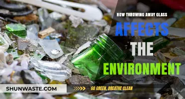 Glass Waste Crisis: Environmental Impact of Discarding Glass Bottles