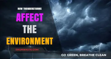 Thunderstorms' Environmental Impact: Unveiling Nature's Power on Ecosystems and Climate