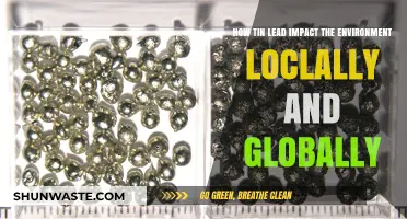 Tin and Lead's Environmental Impact: Local and Global Consequences