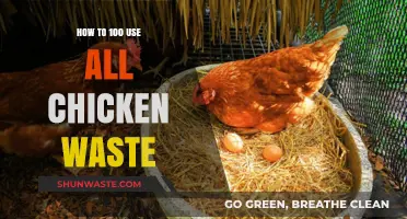 Maximizing Chicken Waste: Sustainable Solutions for 100% Utilization