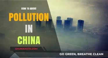 Battling Pollution: China's Clean Air Strategies