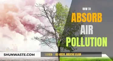 Breathe Easy: Absorbing Air Pollution for Better Health
