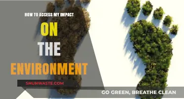 Measuring Your Eco-Footprint: Steps to Assess Environmental Impact