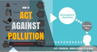 Fight Pollution: Simple Actions, Big Impact