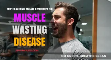 Activating Muscle Hypertrophy: Strategies to Combat Muscle Wasting Disease