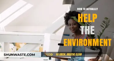 Practical Steps to Make a Real Impact on Our Environment