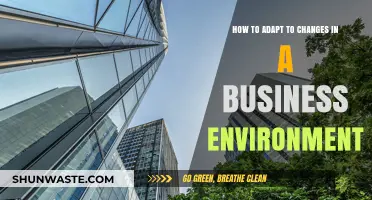 Navigating Shifts: Strategies for Adapting to Business Environment Changes