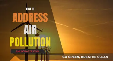 Addressing Air Pollution: Strategies for a Sustainable Future