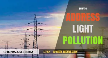 Light Pollution: Strategies for a Brighter Future