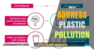 Addressing Plastic Pollution: Strategies for a Sustainable Future