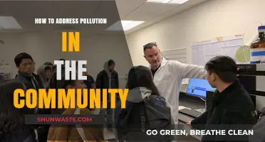 Community Action: Addressing Pollution Together