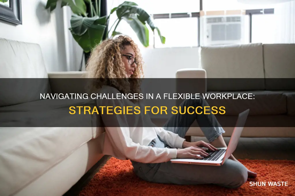 how to address problems in a flexible work environment
