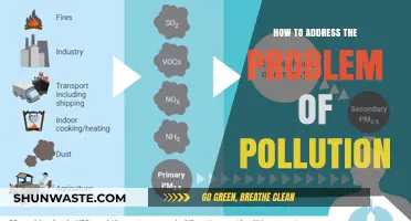 Addressing Pollution: Strategies for a Sustainable Future