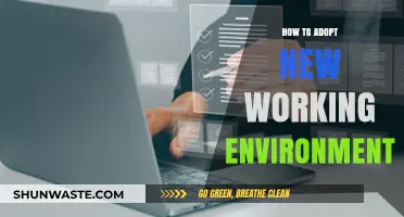 Mastering New Workplaces: Tips for Adapting to Your Environment Seamlessly