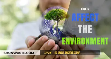 Sustainable Actions: How to Positively Impact the Environment Daily