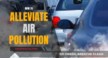 Strategies to Combat Air Pollution and Breathe Easier