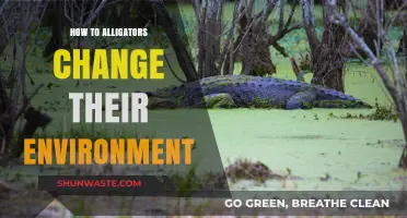 How Alligators Shape Their Habitat: Environmental Impact and Adaptations