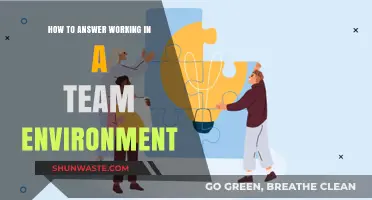Mastering Teamwork: Effective Strategies for Thriving in Collaborative Environments