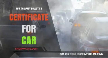 Get Your Car Pollution Certificate: A Step-by-Step Guide