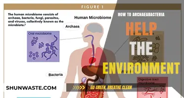 Archaeabacteria's Eco-Friendly Role: Boosting Environmental Health and Sustainability