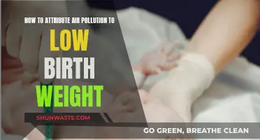 Air Pollution's Impact: Low Birth Weight Explained