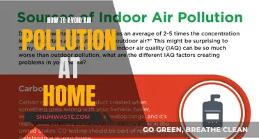 Purify Your Home: Avoid Air Pollution Now!