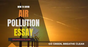 Air Pollution: Simple Ways to Breathe Cleaner Air