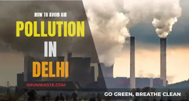 Breathing Easy: Strategies to Avoid Delhi's Air Pollution