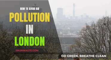 Avoiding Air Pollution: Tips for Londoners