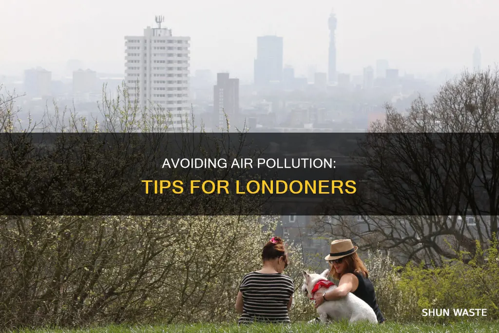 how to avoid air pollution in london