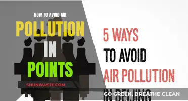 Strategies to Reduce Air Pollution