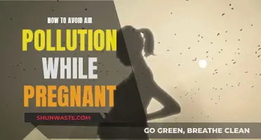 Protecting Your Pregnancy from Air Pollution's Harmful Effects