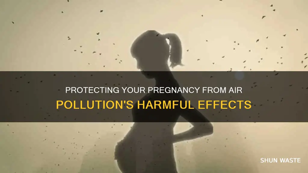 how to avoid air pollution while pregnant
