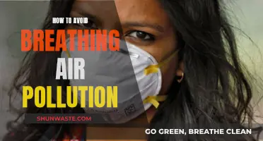 Protect Your Lungs: Avoid Air Pollution with These Tips