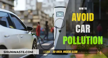 Keep Air Clean: Avoid Car Pollution