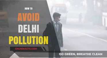 Breathing Easy: Avoiding Delhi's Pollution