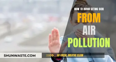 Protecting Your Health from Air Pollution's Ill Effects