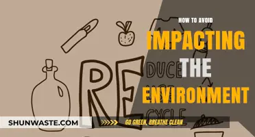 Sustainable Living: Simple Steps to Protect Our Planet Daily