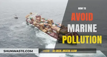 Protecting Our Oceans: Preventing Marine Pollution