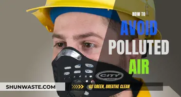 Breathe Easy: Strategies to Escape Polluted Air