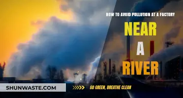 Protecting Rivers: Strategies to Minimize Factory Pollution