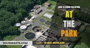 Protecting Parks: Preventing Pollution and Keeping Nature Clean