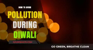 Green Diwali: Celebrating Without Pollution