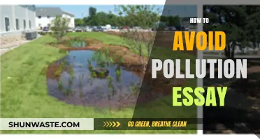 Protecting Our Planet: Avoiding Pollution's Impact