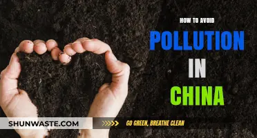 Strategies to Reduce Pollution in China