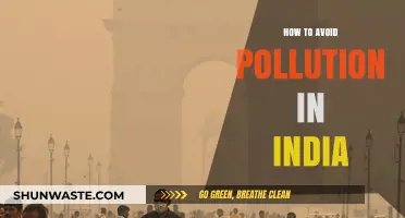 Avoiding Pollution in India: Simple Ways to Breathe Easy