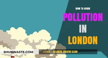 Londoners: Breathe Easy with These Pollution-Busting Tips