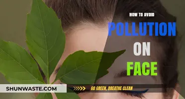 Protect Your Skin: Avoid Pollution's Harmful Effects